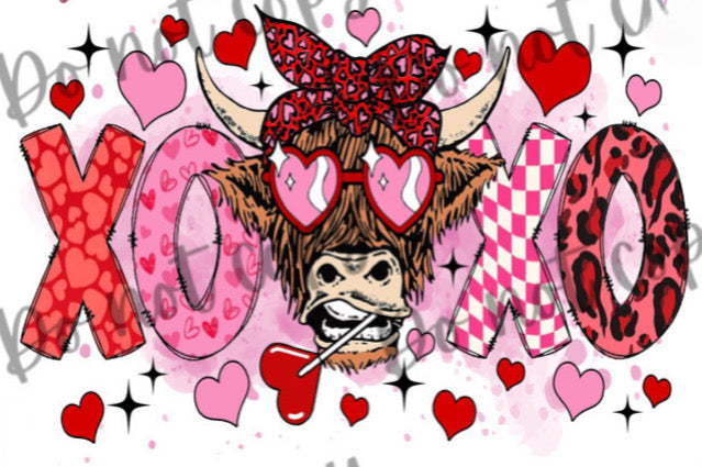 Valentines XOXO Highland cow DTF TRANSFER